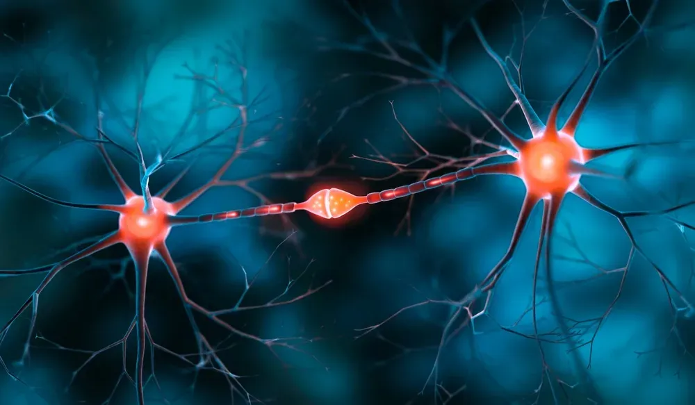 image of nerves causing pain