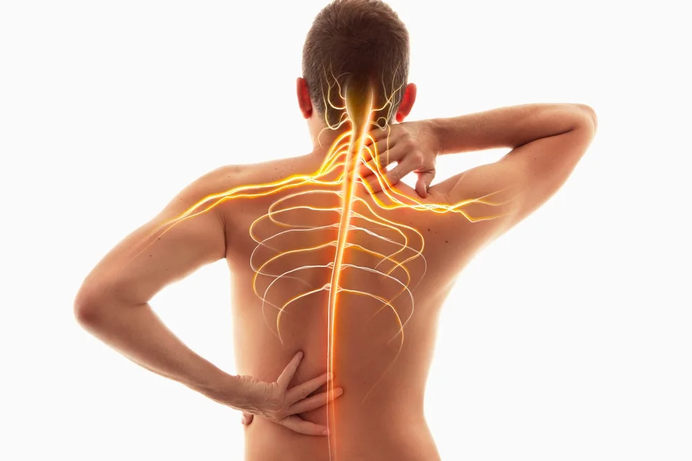 shutterstock_2171654863.jpg