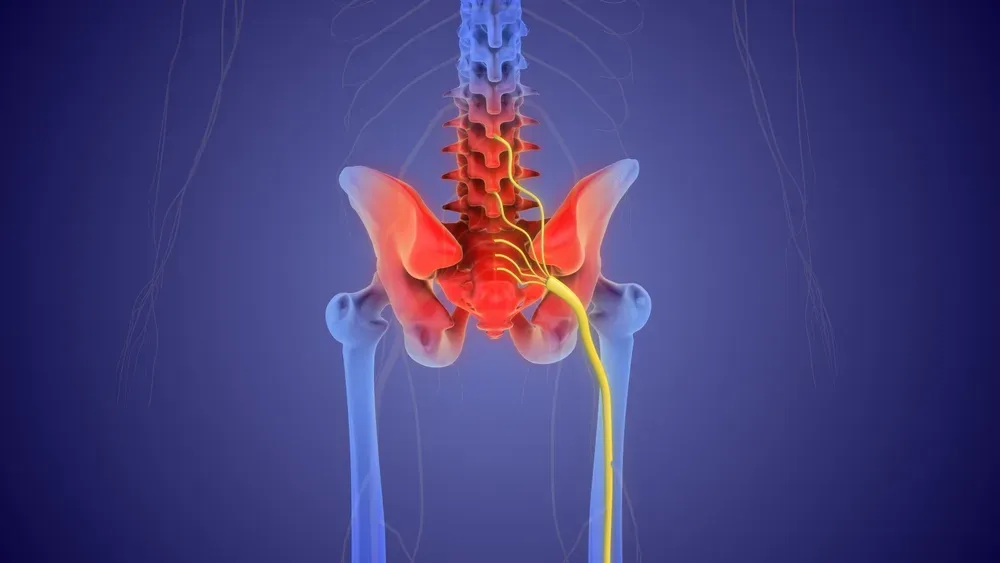 X-ray of a spine showing facet joint instability